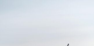 Qui Sont Les Héritiers Réservataires En France ? Découvrez Leur Rôle