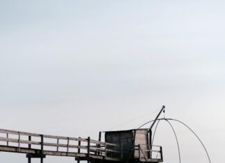 Qui Sont Les Héritiers Réservataires En France ? Découvrez Leur Rôle