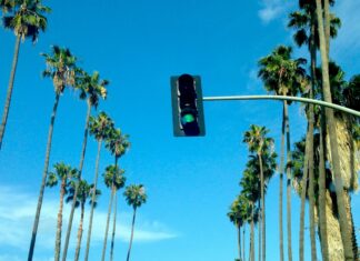 Que Faire Après Un Accident De La Route ? Guide Essentiel À Suivre