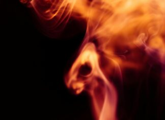 Congés Payés Et Absences : Quels Sont Vos Droits Réels ?