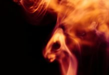 Conflits De Voisinage : Comment Gérer Bornage Et Délimitations ?