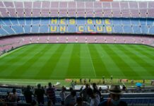 Piéton Renversé : Que Dit La Loi Pour Protéger Vos Droits ?