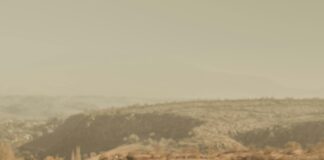 Que Faire En Cas D’Arnaque En Ligne ? Astuces Pour Réagir Rapide