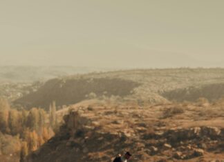 Que Faire En Cas D’Arnaque En Ligne ? Astuces Pour Réagir Rapide