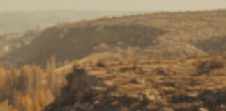 Achats En Ligne : Quels Sont Vos Droits En Tant Que Consommateur ?