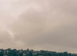 Renouvellement De Titre De Séjour : Quelles Sont Les Étapes Clés ?