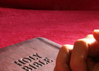 Différences Entre Succession Avec Et Sans Testament : Quelles Sont Elles ?