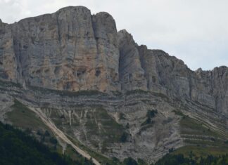 Procédure De L’Expulsion Locative En France : Comment S’y Préparer ?