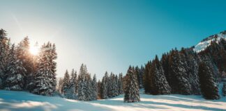 CDI Vs CDD : Quelles Sont Les Principales Différences À Connaître ?