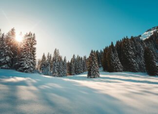 CDI Vs CDD : Quelles Sont Les Principales Différences À Connaître ?