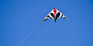 Vol Simple Et Vol Aggravé : Quelles Sont Les Différences Clés ?