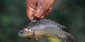 Indemnité De Fin De Contrat : Comment Calculer Votre Montant Exact ?