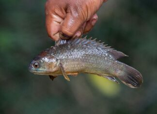 Indemnité De Fin De Contrat : Comment Calculer Votre Montant Exact ?