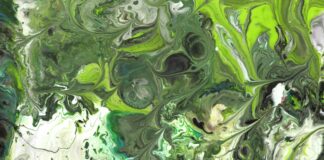 Contester Une Amende De Circulation : Astuces Efficaces À Découvrir