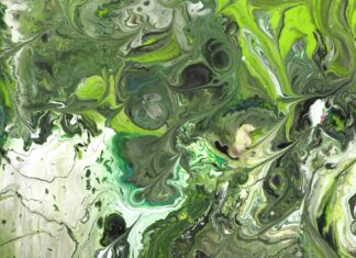 Contester Une Amende De Circulation : Astuces Efficaces À Découvrir