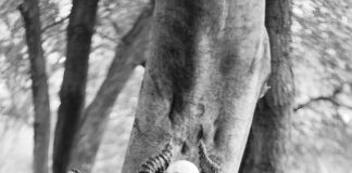 Médiation Familiale : Pourquoi C’est Une Alternative Efficace ?