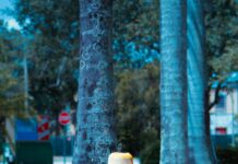 Arrêt Maladie Et Protection De L’Emploi : Quelles Sont Vos Droits ?