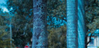 Arrêt Maladie Et Protection De L’Emploi : Quelles Sont Vos Droits ?