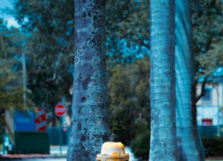 Arrêt Maladie Et Protection De L’Emploi : Quelles Sont Vos Droits ?