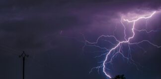 Types De Sociétés En France : Quel Choix Pour Votre Avenir ?