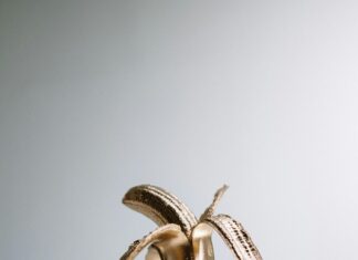 Quand Obtient-On La Garde Exclusive ? Découvrez Les Secrets Essentiels !