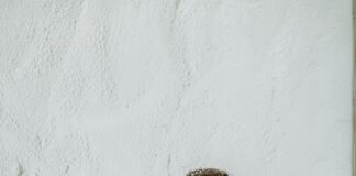 Conflits Familiaux Autour Des Héritages : Quelles Solutions Juridiques ?