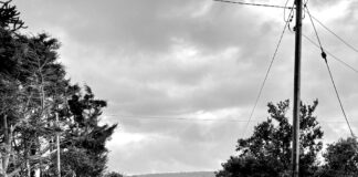 Réclamation De Salaires Impayés : Comment Obtenir Ce Qui Vous Revient ?