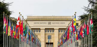 Peut-On Expulser Un Locataire Rapidement ? Découvrez Les Solutions