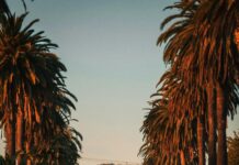 Qui Décide De La Pension Alimentaire ? Découvrez Les Secrets !