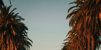 Qui Décide De La Pension Alimentaire ? Découvrez Les Secrets !