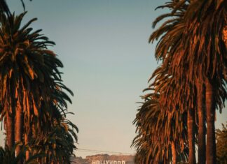 Qui Décide De La Pension Alimentaire ? Découvrez Les Secrets !