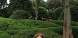 Responsabilité Des Dirigeants D’Entreprise : Quelles Enjeux Cruciaux ?