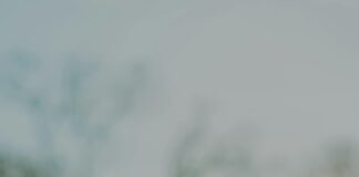 Peut-On Enregistrer Une Preuve Vidéo ? Découvrez Comment Faire !