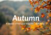 L’Automne : Une Saison de Renouveau et d’Inspiration Autumn: A Season of Renewal and Inspiration