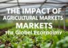 L’Impact des Marchés Agricoles sur l’Économie Mondiale The Impact of Agricultural Markets on the Global Economy