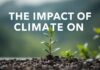 L’Impact du Climat sur Notre Quotidien The Impact of Climate on Our Daily Lives