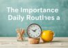 L’Importance des Routines Quotidiennes pour une Vie Équilibrée The Importance of Daily Routines for a Balanced Life