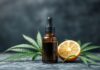 Le CBD et ses Bienfaits: Une Révolution dans le Monde de la Santé Naturelle CBD and Its Benefits: A Revolution in the World of Natural Health