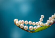 Les Perles : Un Trésor de la Nature et de la Culture Pearls: A Treasure of Nature and Culture