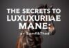 Les Secrets d’une Chevelure Luxuriante : Conseils et Astuces The Secrets to a Luxurious Mane: Tips and Tricks